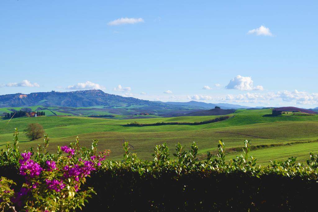 Orciatico Agriturismo San Francesco Amalia And Anna מראה חיצוני תמונה