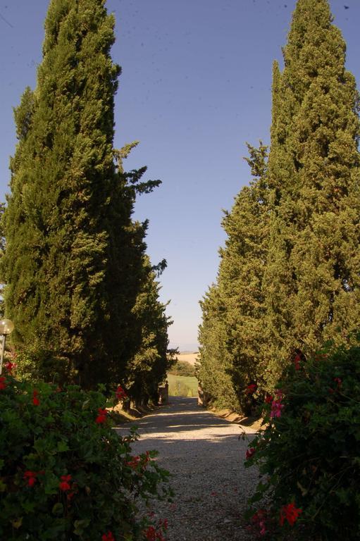 Orciatico Agriturismo San Francesco Amalia And Anna מראה חיצוני תמונה