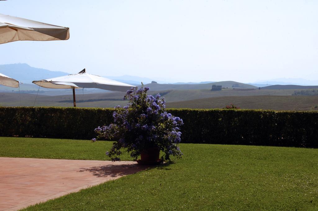 Orciatico Agriturismo San Francesco Amalia And Anna מראה חיצוני תמונה
