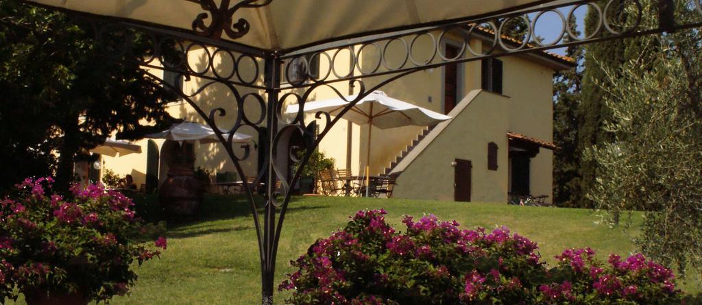 Orciatico Agriturismo San Francesco Amalia And Anna מראה חיצוני תמונה